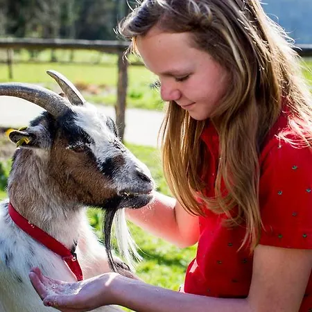 Familienparadies Zeislerhof 팜스테이 *